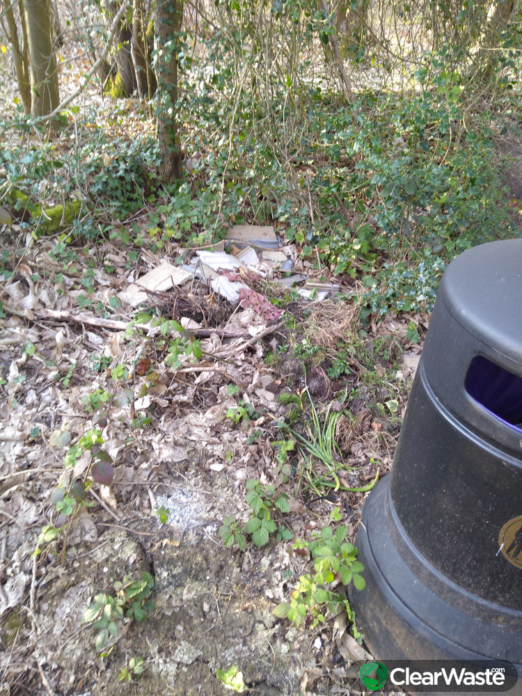 Flytipping in Brandy Hole Lane, Chichester ClearWaste