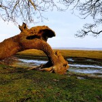 Graham Faithfull's avatar