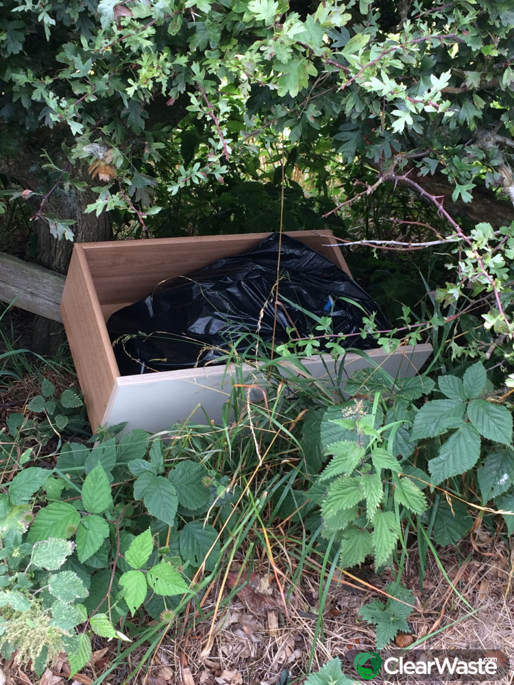 Flytipping in South Lodge Wood, Morpeth ClearWaste